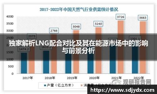独家解析LNG配合对比及其在能源市场中的影响与前景分析