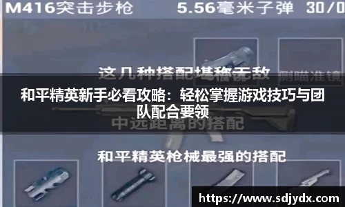 凤凰联盟平台注册