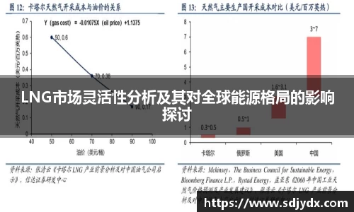 LNG市场灵活性分析及其对全球能源格局的影响探讨