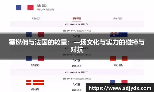 塞燃佣与法国的较量：一场文化与实力的碰撞与对抗
