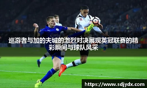 巡游者与加的夫城的激烈对决展现英冠联赛的精彩瞬间与球队风采
